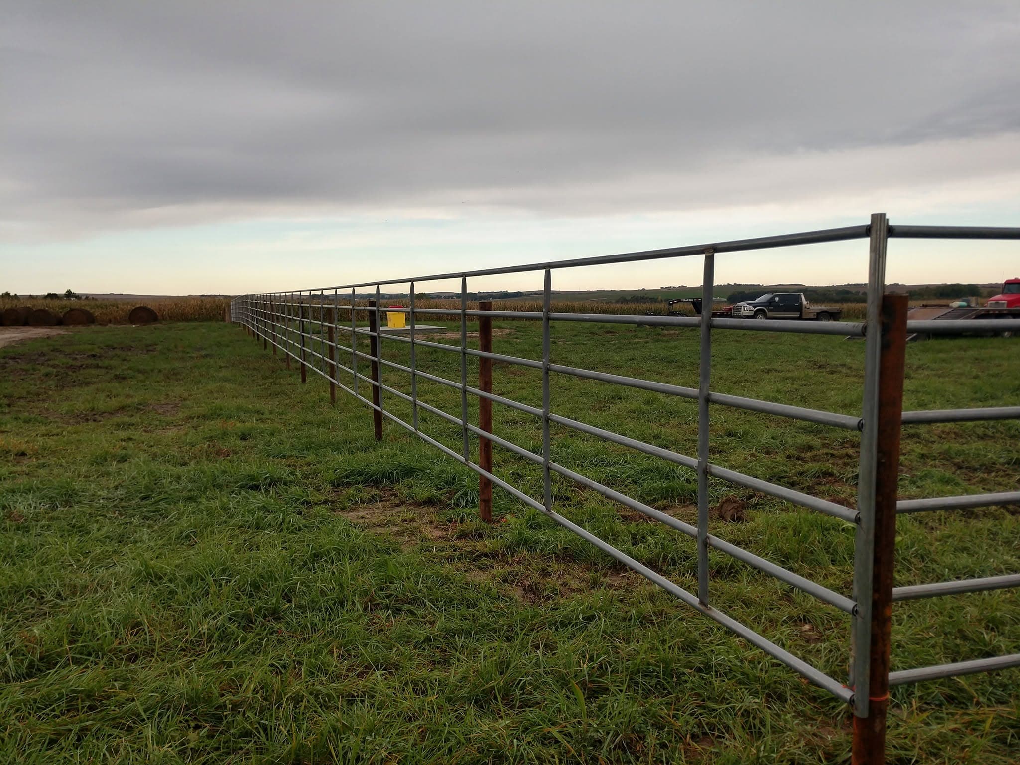 Continuous panel fence running out along an evergreen row under an overcast sky