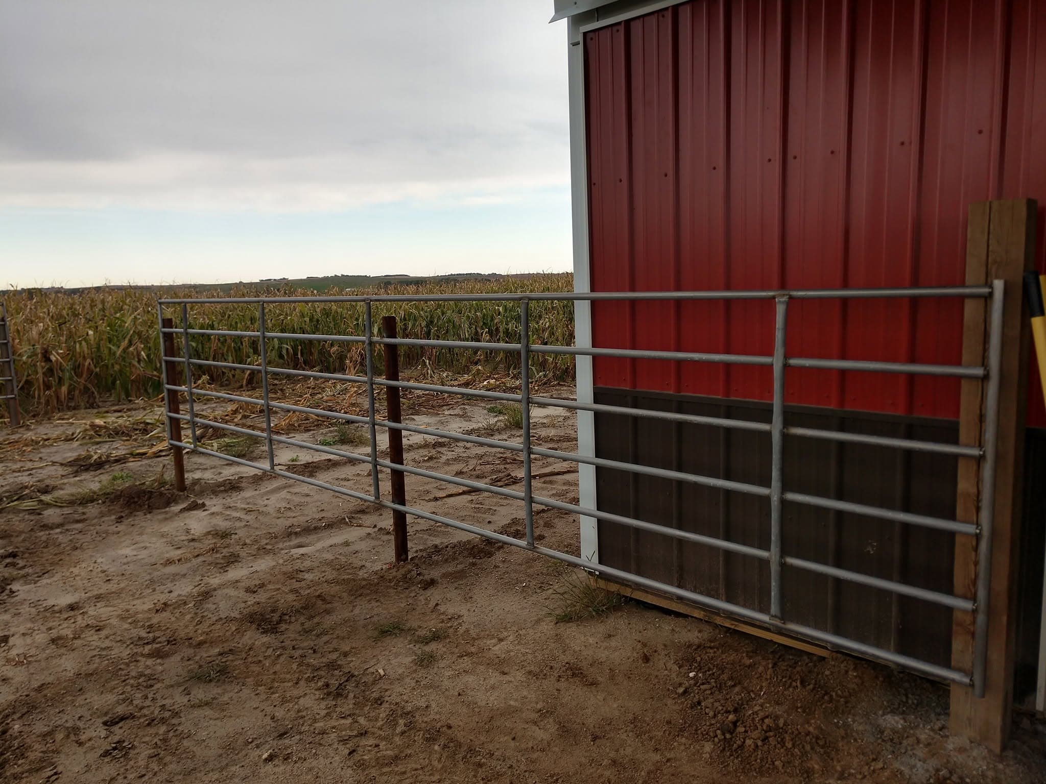Galvanized corral panels meeting a red machine shed on worked ground