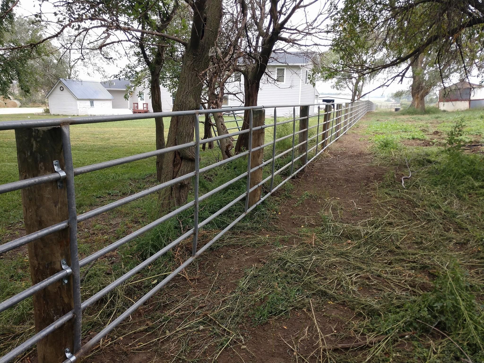 New fence following a shaded farm lane between mature trees