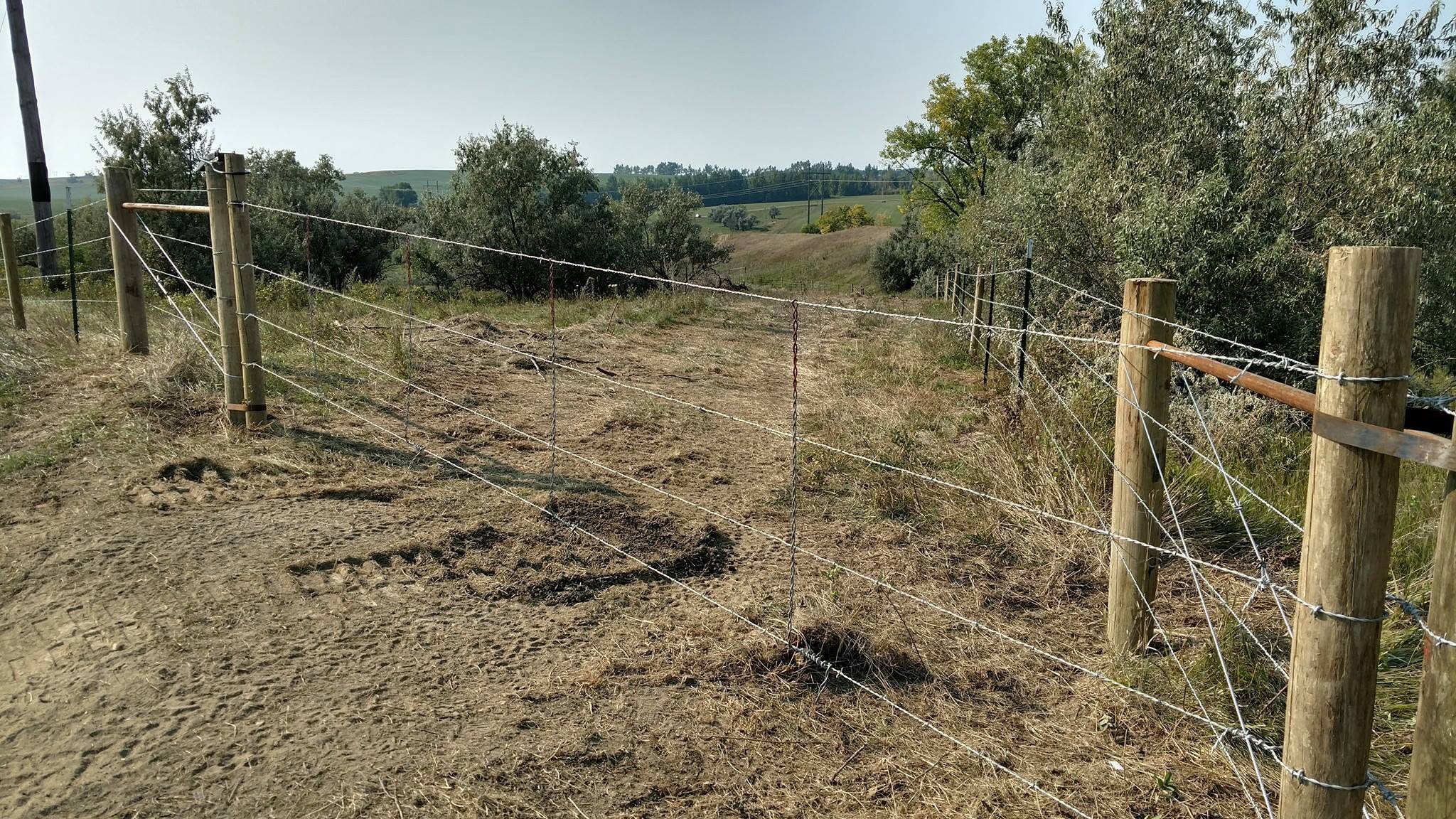 Multi-strand high-tensile barbwire stretched tight across open pasture on wood and steel posts