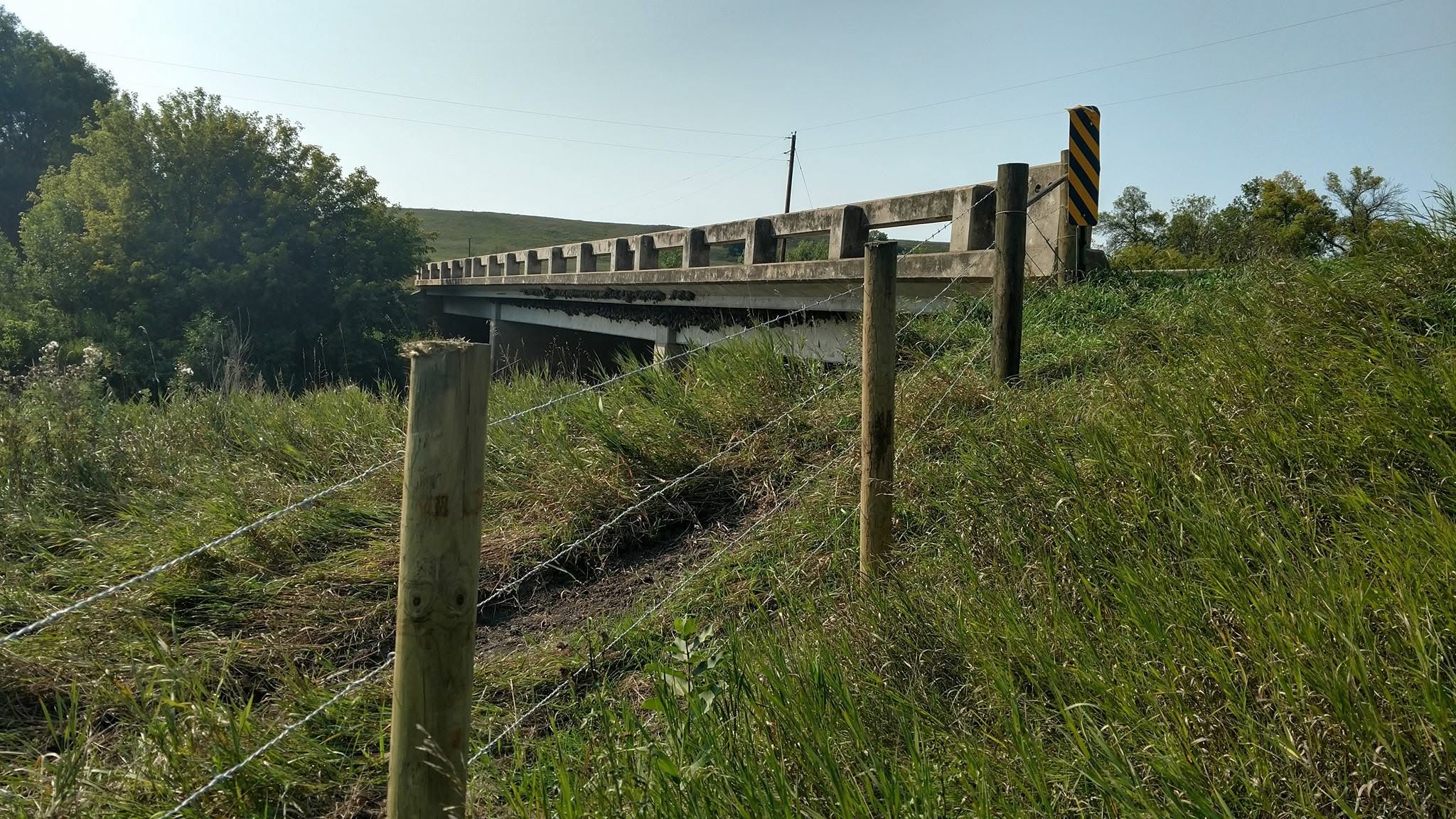 Barbed strands on wood posts holding a Jim River Fencing line down a green creek bank