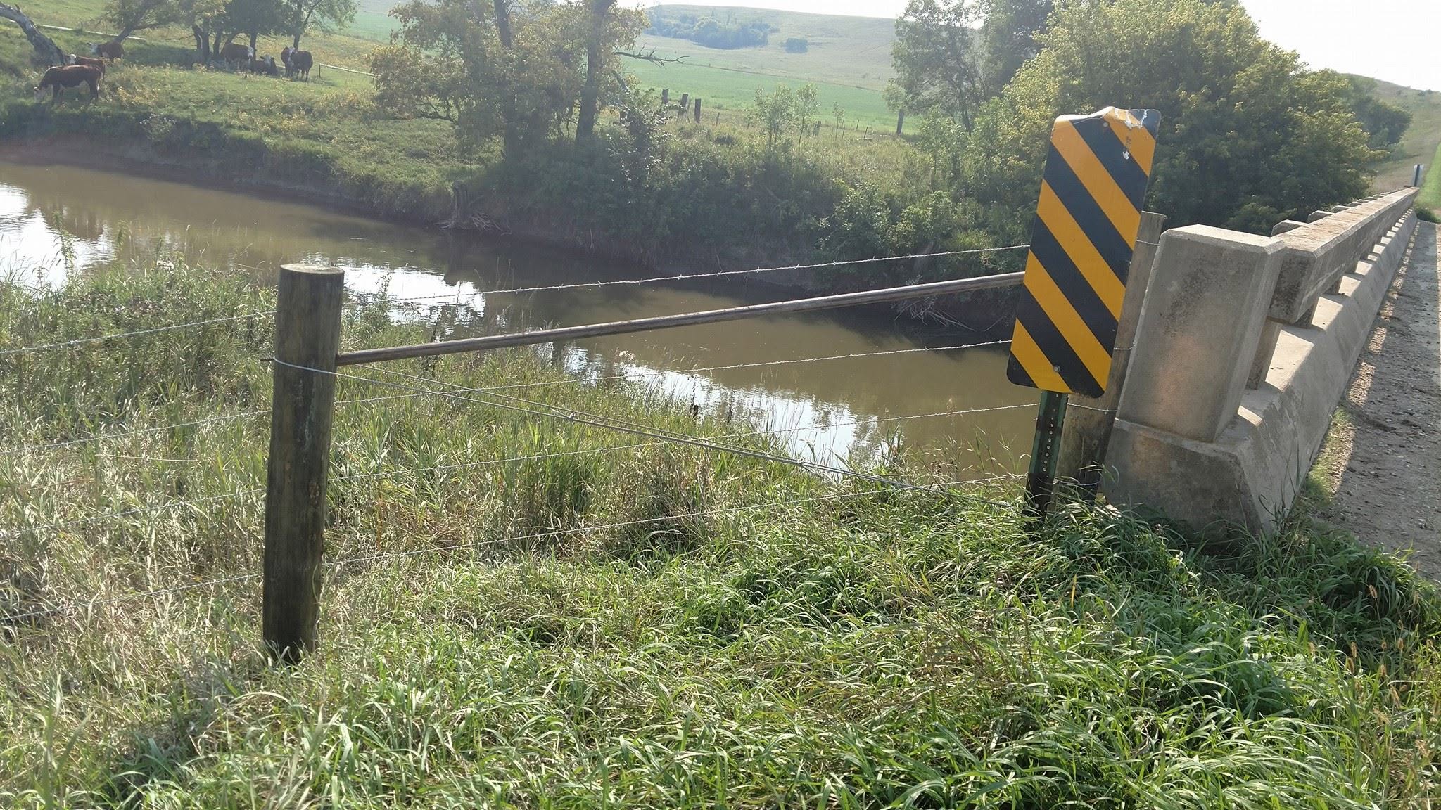 Barbed strands carrying the line to a bridge crossing, cattle grazing on the far creek bank