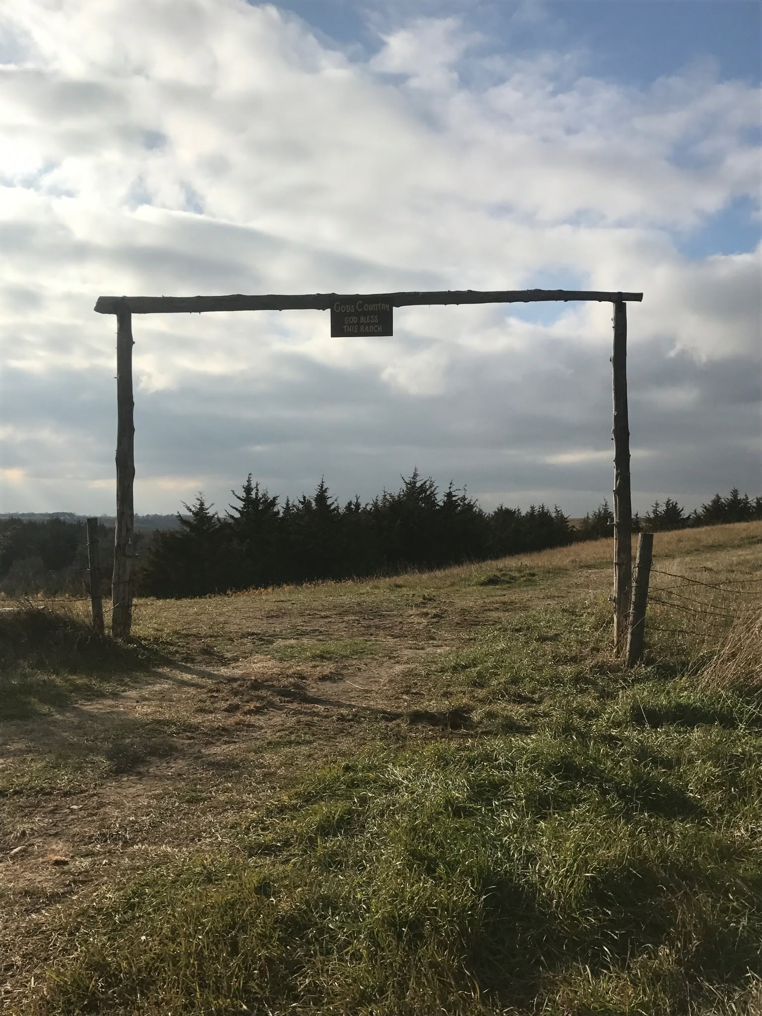 Timber ranch entrance gateway built by Jim River Fencing, evergreen shelterbelt behind