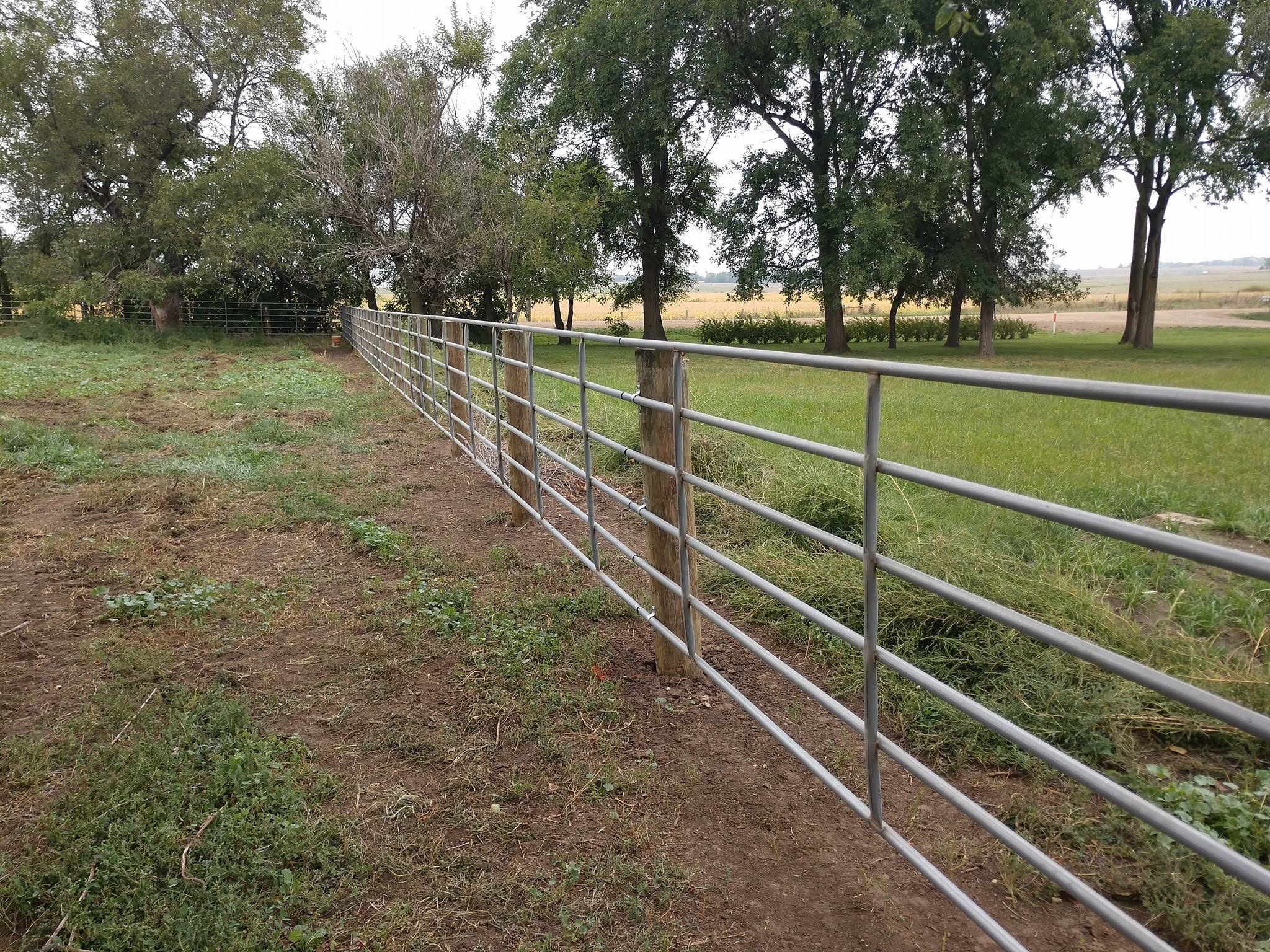 A finished fence line following a green lane between field and trees in southeastern South Dakota