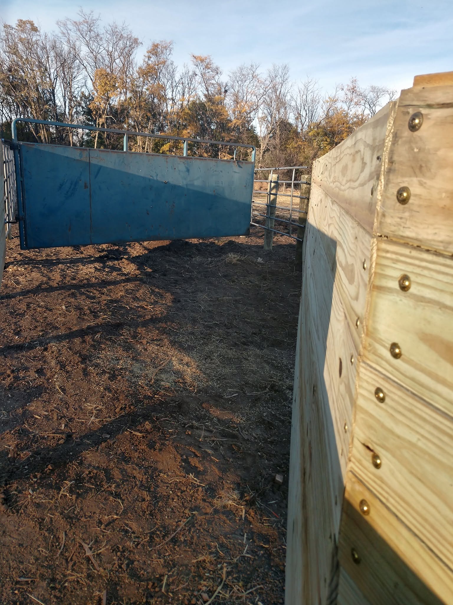 Feedlot windbreak wall meeting a steel panel gate