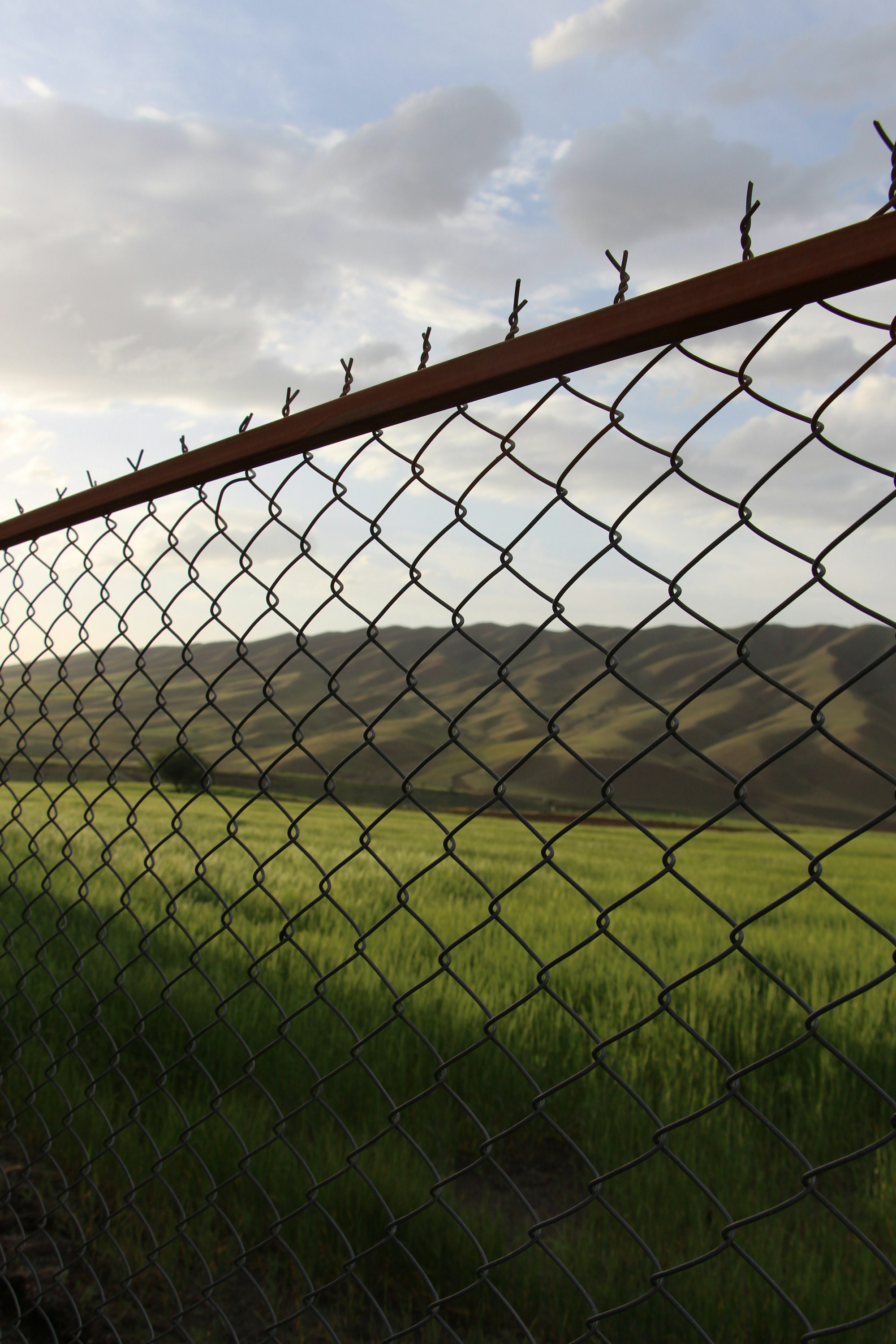 Galvanized chain-link fence with a steel top rail running along a green field